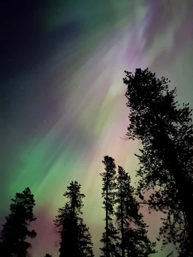 Banff Night Sky: Stargazing and Northern Lights Chasing Tour - How the Guide Chooses the Viewing Spot (and Why That Matters)