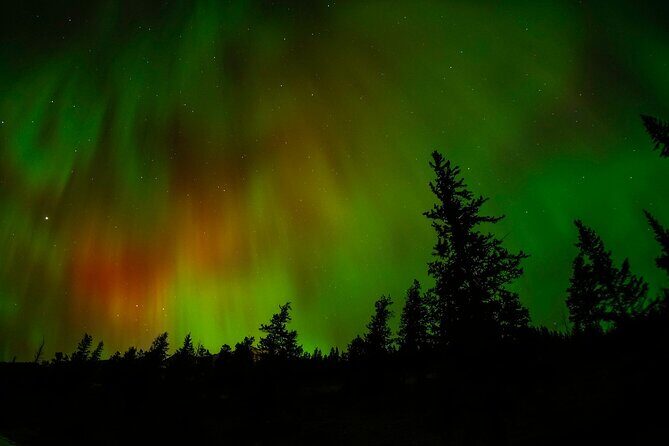 Banff Night Sky Stargazing Tour from Canmore and Banff - Price and Value: What $100.85 Buys You in Real Comfort