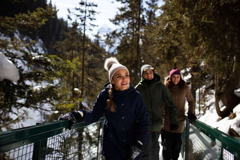 Banff: Premium Johnston Canyon Frozen Falls Guided Adventure - The Lower Falls hike: ice cleats, bridges, and big frozen-cascade views