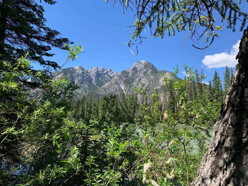 Banff PRIVATE Guided Nature Walk + Transportation - 2.5H - Should you book it or not