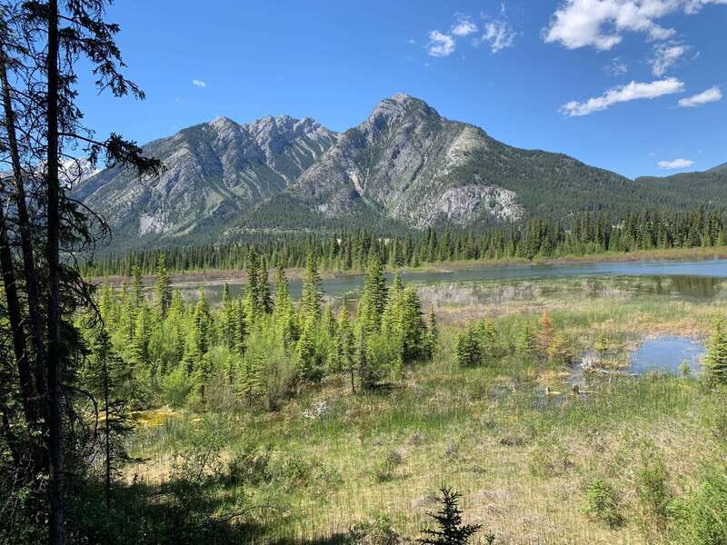 Banff PRIVATE Guided Nature Walk + Transportation - 2.5H - Private Banff walk: what makes it feel different fast