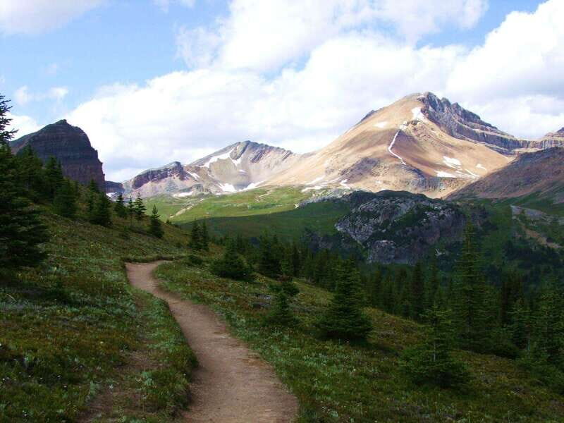 Banff PRIVATE Guided Nature Walk + Transportation - 2.5H - Weather reality: rain or shine, and how to dress for both comfort and traction
