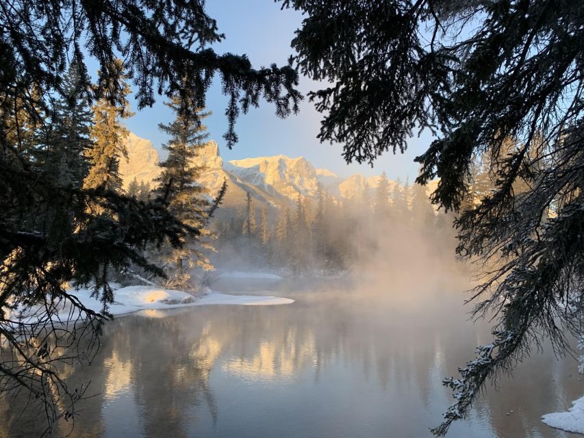 Banff PRIVATE Guided Nature Walk + Transportation - 2.5H - Price and value: $292 per group up to 3, and when it’s a smart buy