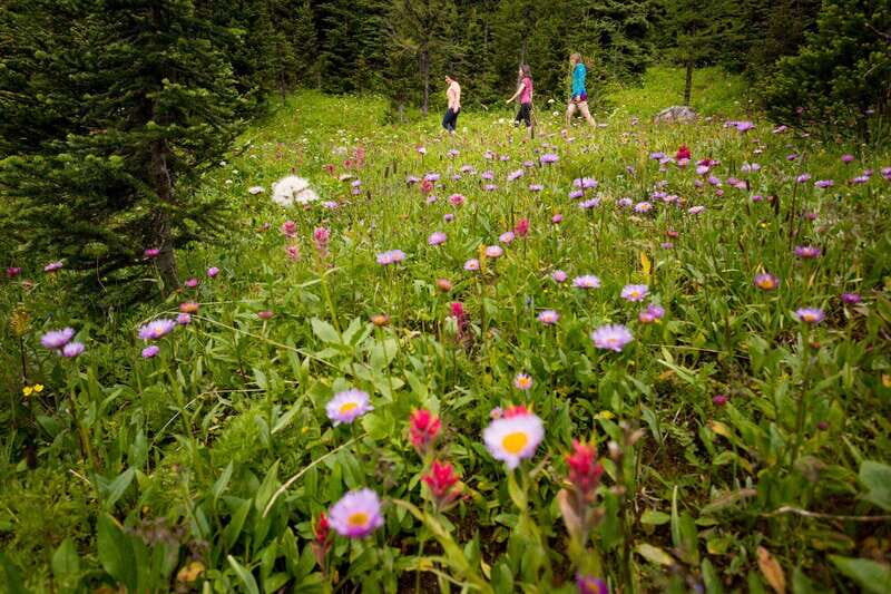 Banff PRIVATE Guided Nature Walk + Transportation - 2.5H - Meeting at Cave and Basin, then heading out to Banff’s quieter trails