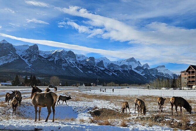 Banff Private Tour - Beyond the basics - Stop 1: Canmore downtown coffee and the Three Sisters backdrop