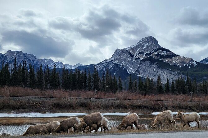 Banff Private Tour - Beyond the basics - Stop 3: Banff Avenue time for shops, food, and people-watching