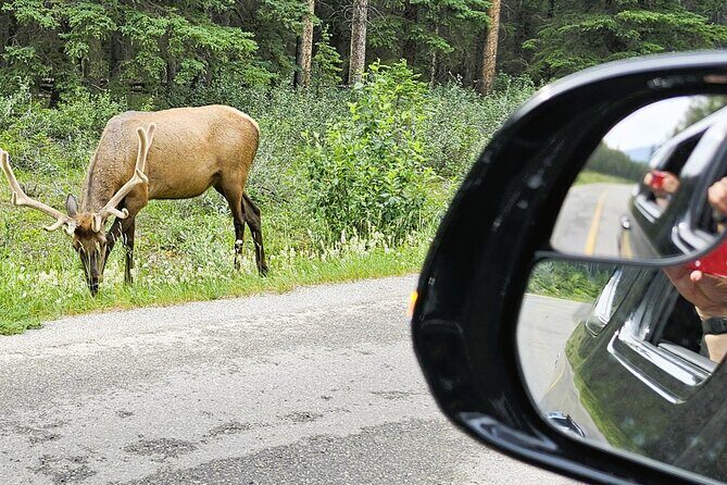 Banff Private Tour - Beyond the basics - What’s included (and how that changes the math)