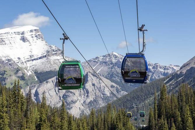 Banff Sunshine Village Gondola and Sightseeing - Key highlights worth your attention