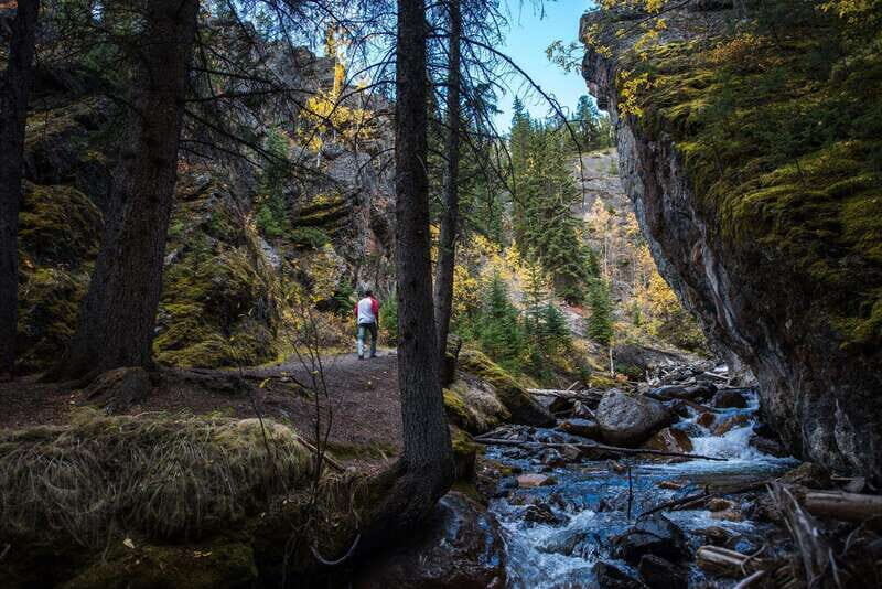 Banff: Thermal Waters and Hidden Waterfalls - 3hr Walk - Thermal Waters: Hot Springs You’ll Want to Stop for