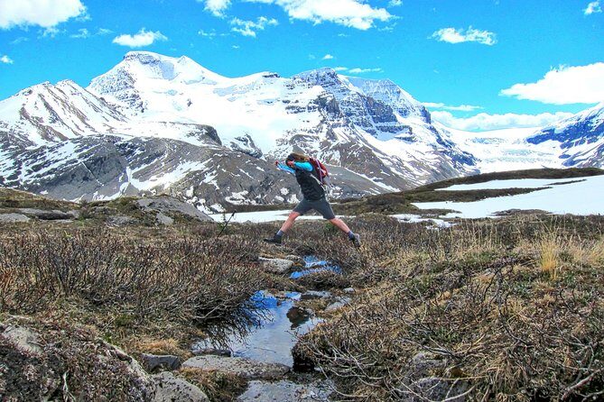 Banff to Jasper One-Way Tour - Lunch and Breaks: How to Fuel a 10-Hour Day
