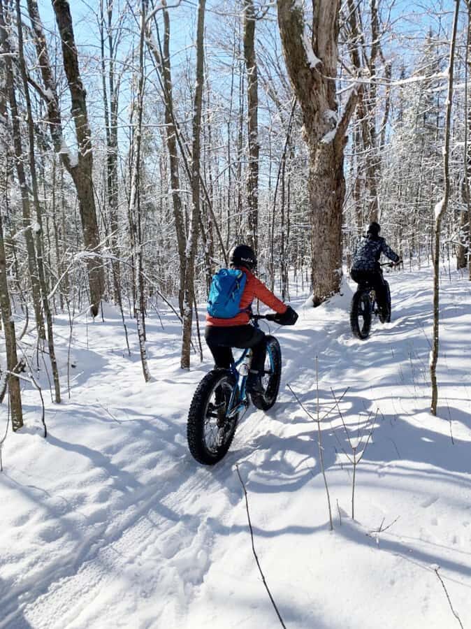Banff Top Sights via Electric Fat Bike Tour All Skill Levels - Meeting at Bow Ave & Wolf St: Getting Started Without Stress
