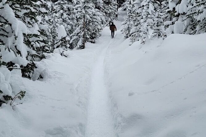 Banff Town, Lake Louise, Moraine, Emerald & Canyon Day Trip - Castle Mountain Photo Stop: A Tiny Detour With Big Payoff