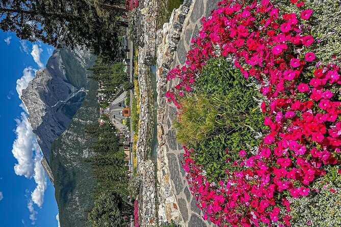 Banff Town Walking Tour Includes Refreshment and Sweet Treat - Store Time for Souvenirs Without Losing the Story