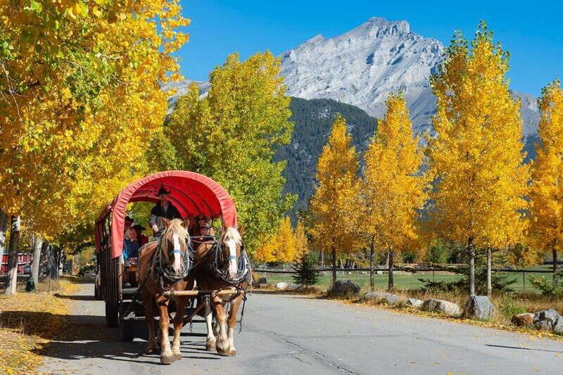 Banff: Wagon Ride with Cowboy Cookout BBQ - Quick Hits: What Makes This Cowboy Cookout Wagon Ride Worth It