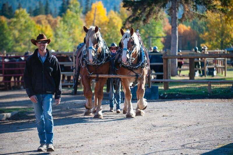 Banff: Wagon Ride with Cowboy Cookout BBQ - Bow River Ride Out: Cave and Basin Hot Springs Along the Way
