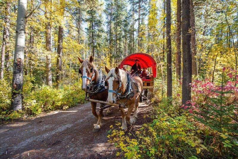 Banff: Wagon Ride with Cowboy Cookout BBQ - Price and Value at $109: What You’re Really Paying For