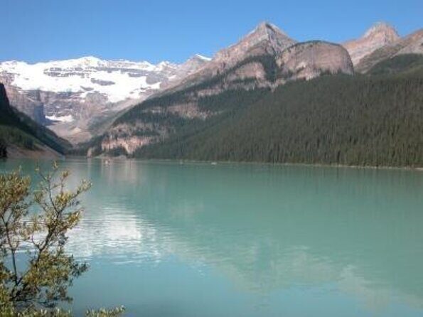Banff Winter Day Tour: Lake Louise Ski Resort & Abraham Lake - Key Highlights to Know Before You Go