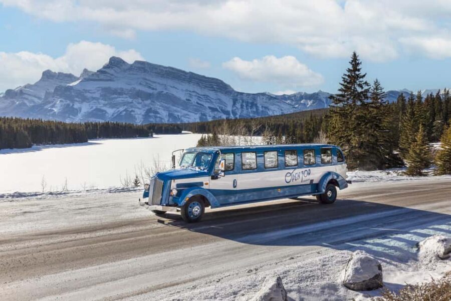 Banff: Winter Tour with Dinner & Nightrise at Banff Gondola - What You Get When Winter Banff Turns Into a One-Day Show