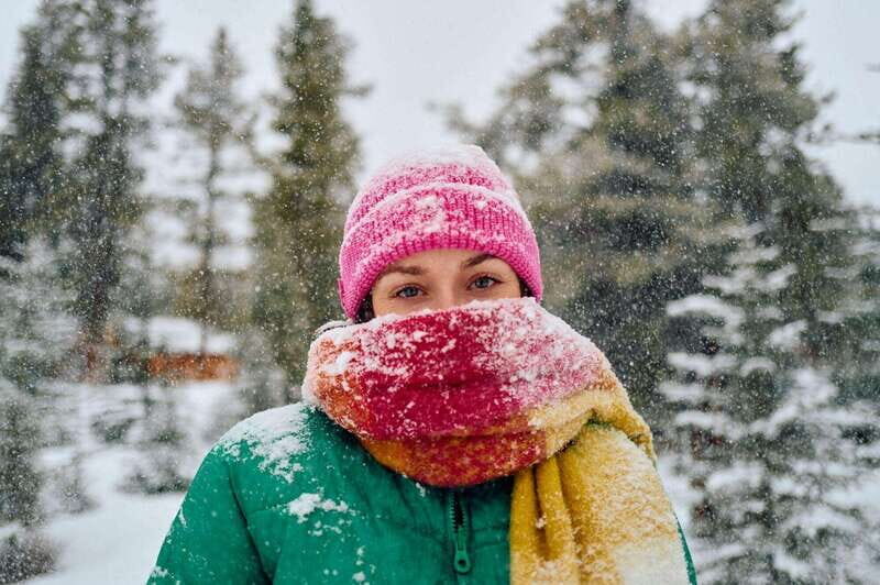 Banff: Winter Wilderness Walk with Wildlife Tracking - 2hrs - Why Cave and Basin is a smart winter starting point