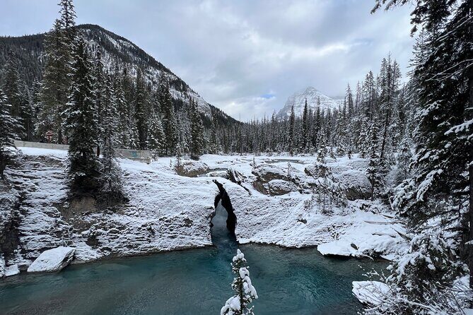 Banff, Yoho, and Icefield Parkway Private Tour - A private Banff day that actually feels like your day