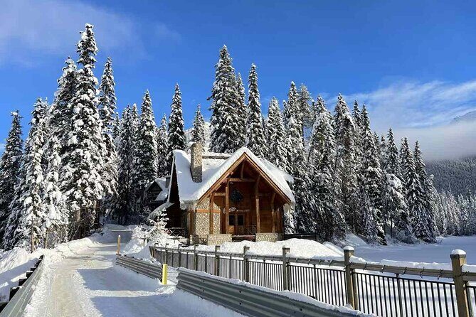 Banff, Yoho, & Kootenay National Parks Billingual Day Trip - Kootenay National Park in winter: Marble Canyon’s zig-zag bridges
