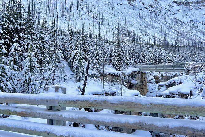 Banff, Yoho, & Kootenay National Parks Billingual Day Trip - Practical winter tips that fit this exact itinerary