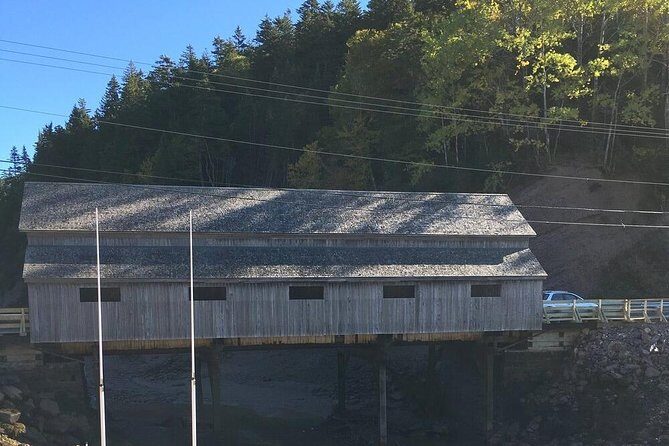 Bay of Fundy Tour by Bus - Why Reversing Falls makes this Bay of Fundy tour feel like real magic