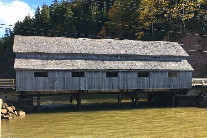 Bay of Fundy Tour by Bus - Fallsview Park: Reversing Falls Rapids in the best spot