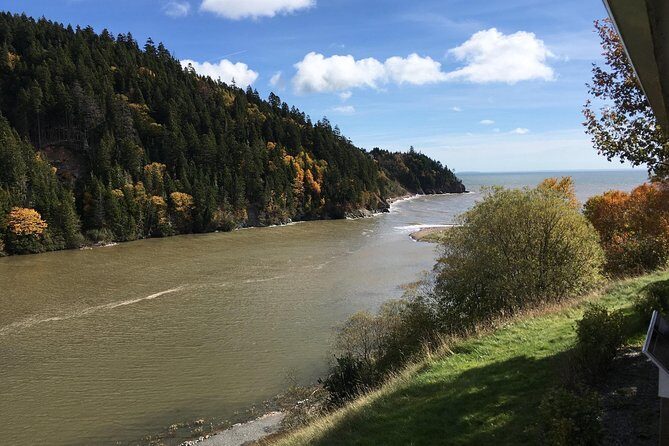 Bay of Fundy Tour by Bus - Saint John City Market: the smart break in the middle