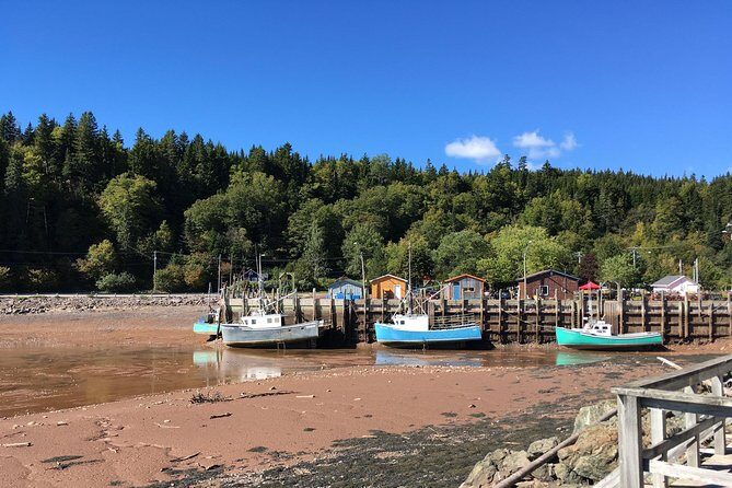 Bay of Fundy Tour by Bus - Fundy National Park and the Sea Caves: tide timing you can plan around