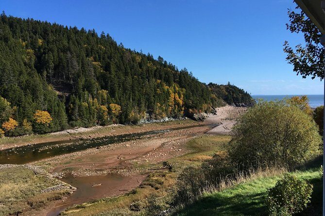 Bay of Fundy Tour by Bus - Price and value: what you get for $99, and what costs extra