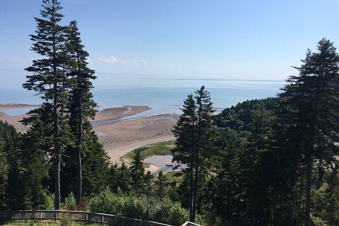 Bay of Fundy Tour by Bus - Weather, buses, and comfort: the practical stuff that decides your day