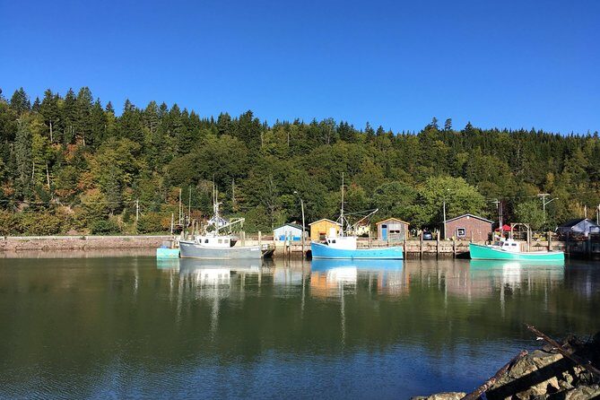 Bay of Fundy Tour by Bus - Cruise-terminal pickup and how the day is paced
