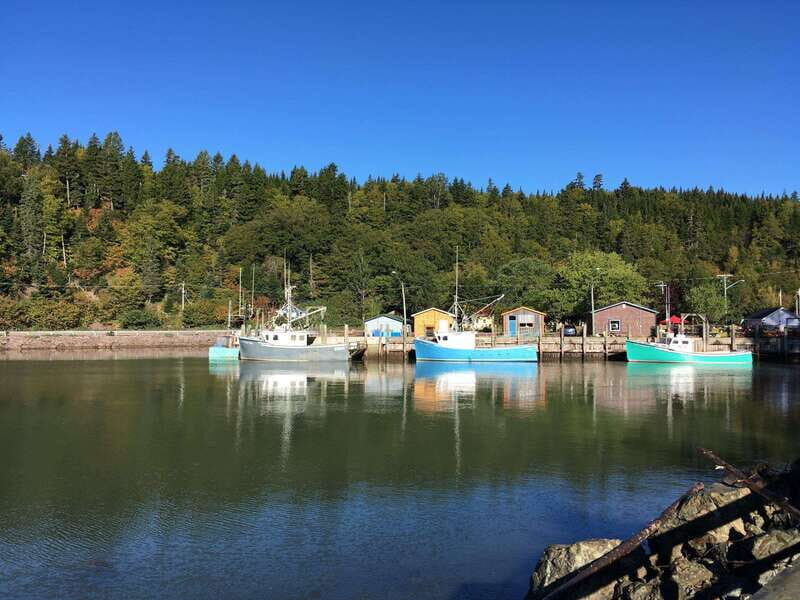 Bay of Fundy Tour by Mini Van - Bay of Fundy by mini-van: a cruise-day sampler of Southern New Brunswick