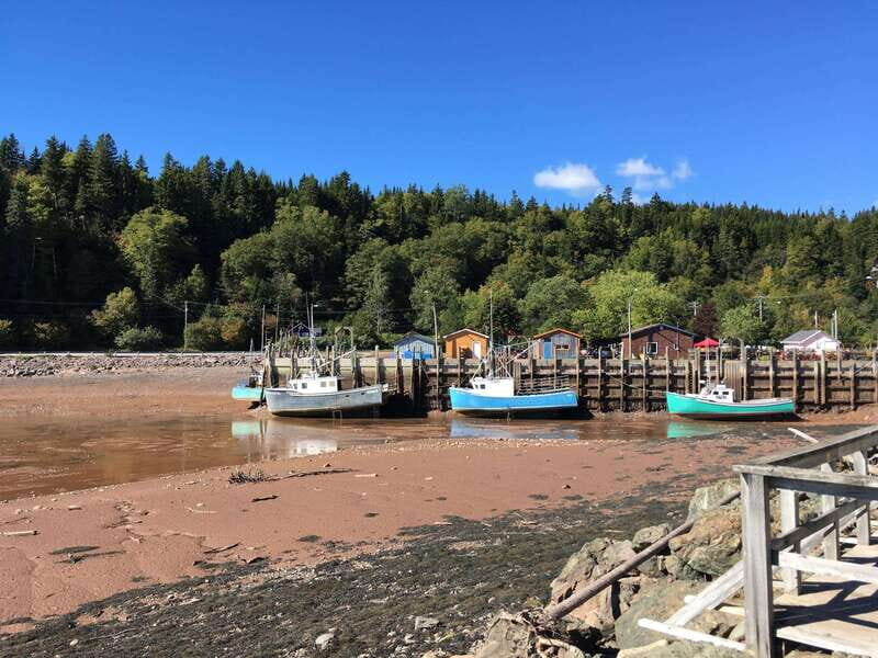 Bay of Fundy Tour by Mini Van - Marco Polo Cruise Terminal timing: how the day really moves
