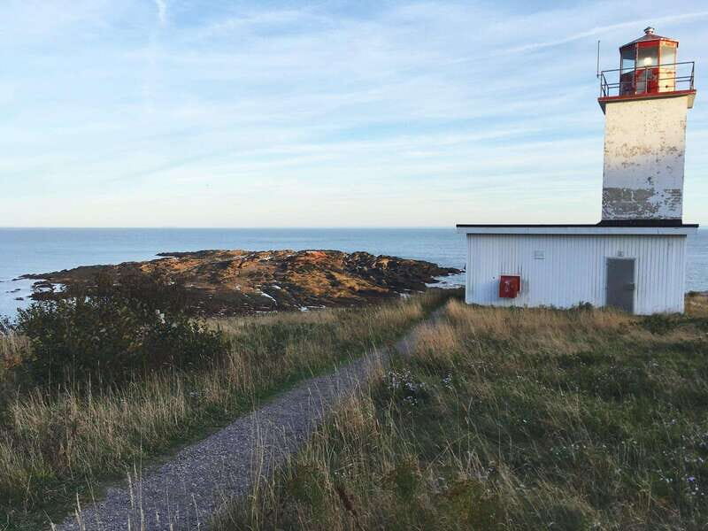 Bay of Fundy Tour by Mini Van - Guide quality and van comfort: the real-world tradeoffs