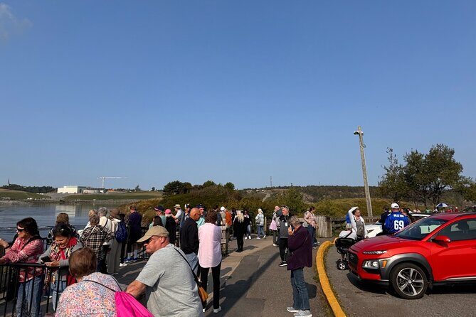 Bay of Fundy Tour Saint John NB - Moosehead Breweries and Saint John’s City Market for Real-World Local Flavor