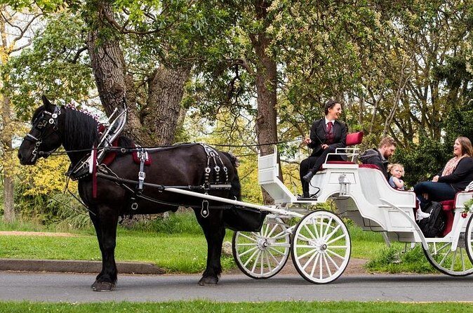 Beacon Hill Park Horse-Drawn Carriage Experience in Victoria - James Bay Finish: Victorian Streets and Emily Carr Connections