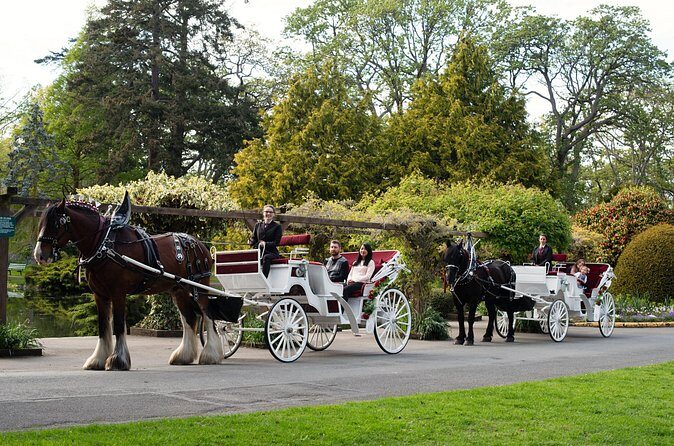 Beacon Hill Park Horse-Drawn Carriage Experience in Victoria - Timing Tips: Where Delays Can Sneak In and How to Stay Relaxed