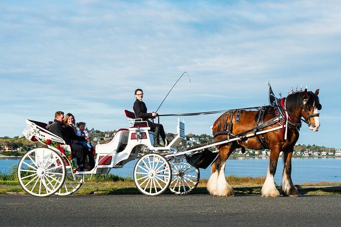 Beacon Hill Park Horse-Drawn Carriage Experience in Victoria - Beacon Hill Park: Duck Ponds, Gardens, and a Cedar Totem Moment