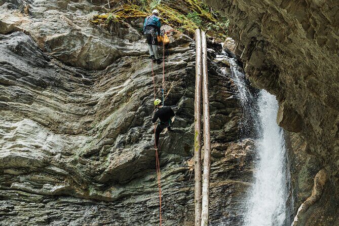 Beartooth Canyon- Half Day Canyoning Tour - Golden, BC - Golden’s Beartooth Canyon: Why This Half-Day Feels Like a Full Adventure