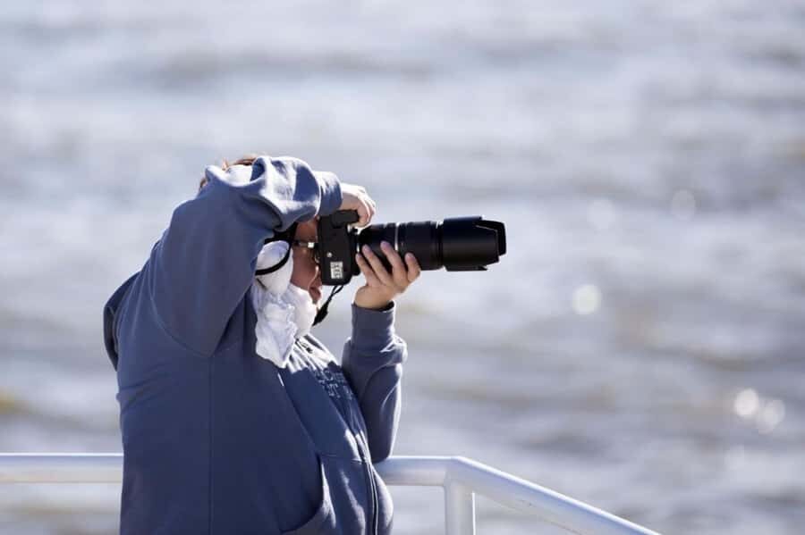 Berthier-sur-Mer: 1000 Razorbill Penguins Observation Cruise - Key Things I’d Bet Your Time On