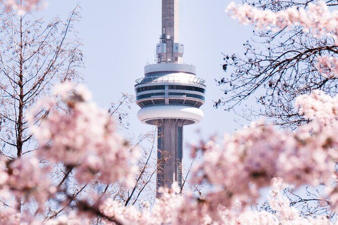 Best of Toronto City Tour with Boat Cruise & CN Tower - CN Tower: skip the lines, then face the glass floor