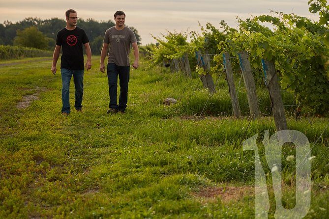 Between The Lines Classic Wine Tasting - How to get more out of the tasting (without overthinking it)