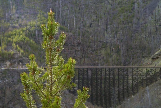 Bicyle Tour on Historical Kettle Valley Railway from Myra Canyon to Penticton - Price and Value at $184.58: What You Get for a 7-Hour Day