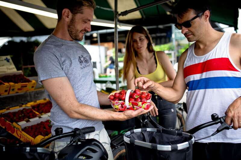 Bike/E-bike tour Plateau,MileEnd, Jean-Talon Market by Fitz - Plateau on Two Wheels: Street Art, Quiet Laneways, and Photo Stops