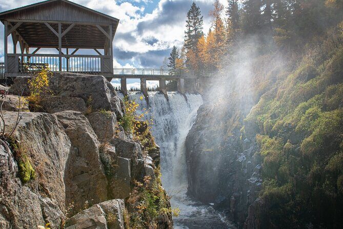 Black Bear viewing and walking at oudoor ctr's Canyon - Should You Book This Black Bear and Canyon Tour?
