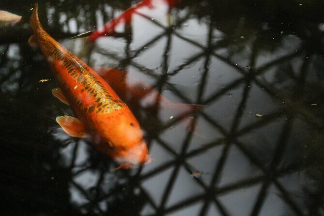 Bloedel Conservatory Admission Ticket - Tickets and value: why $7.49 is fair in Vancouver