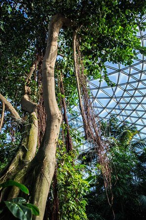 Bloedel Conservatory Admission Ticket - Kids can do something besides look: the scavenger hunt