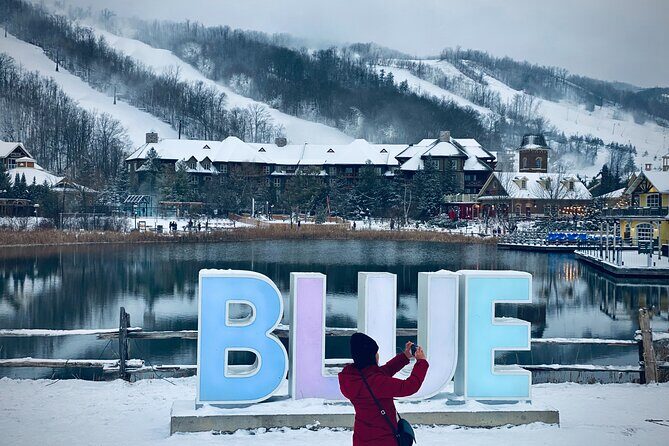 Blue Mountain and Scenic caves of Collingwood - Key things to know before you go